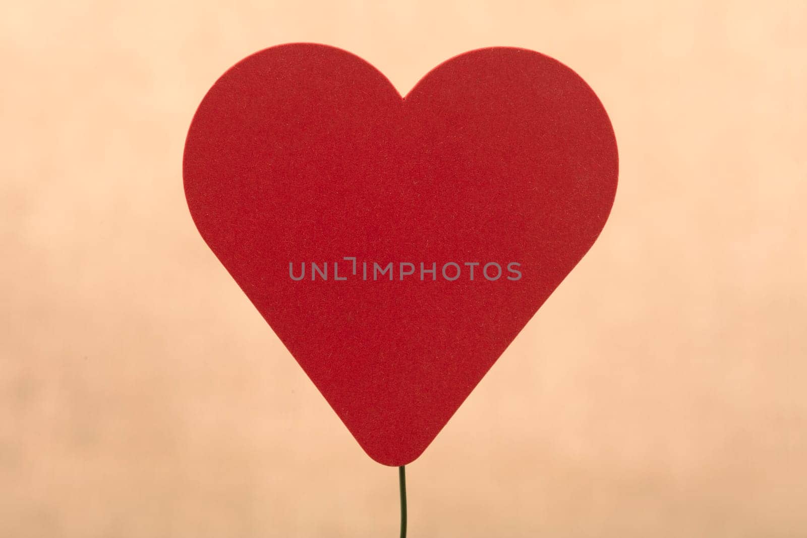 Decorative felt Heart on wire over beige background