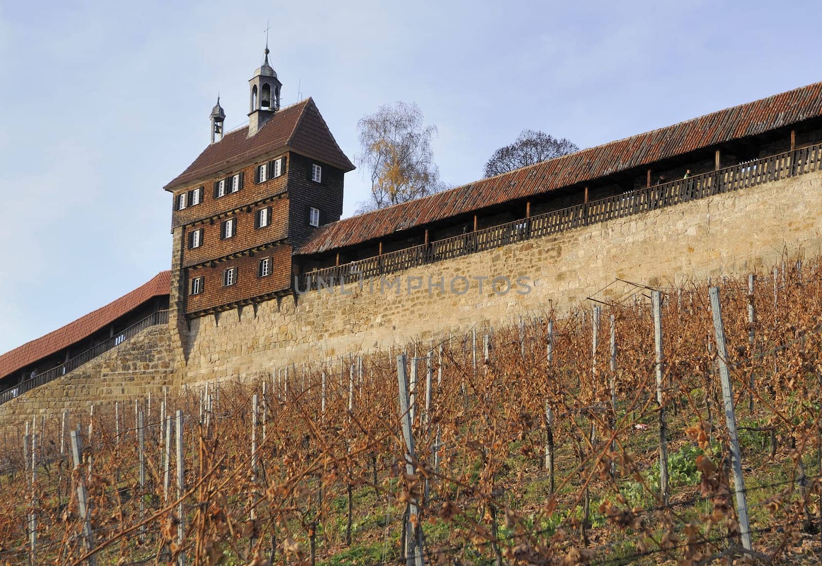 view of ancient fortifications of medieval castle, shot in bright winter light..