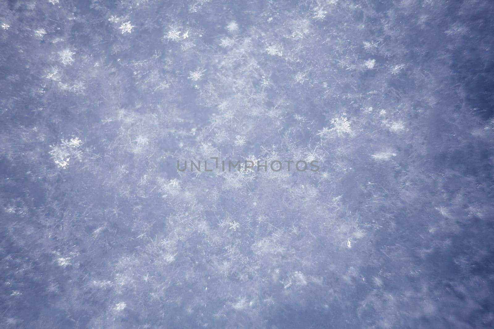 white snowflakes  background, rough pattern of snow texture