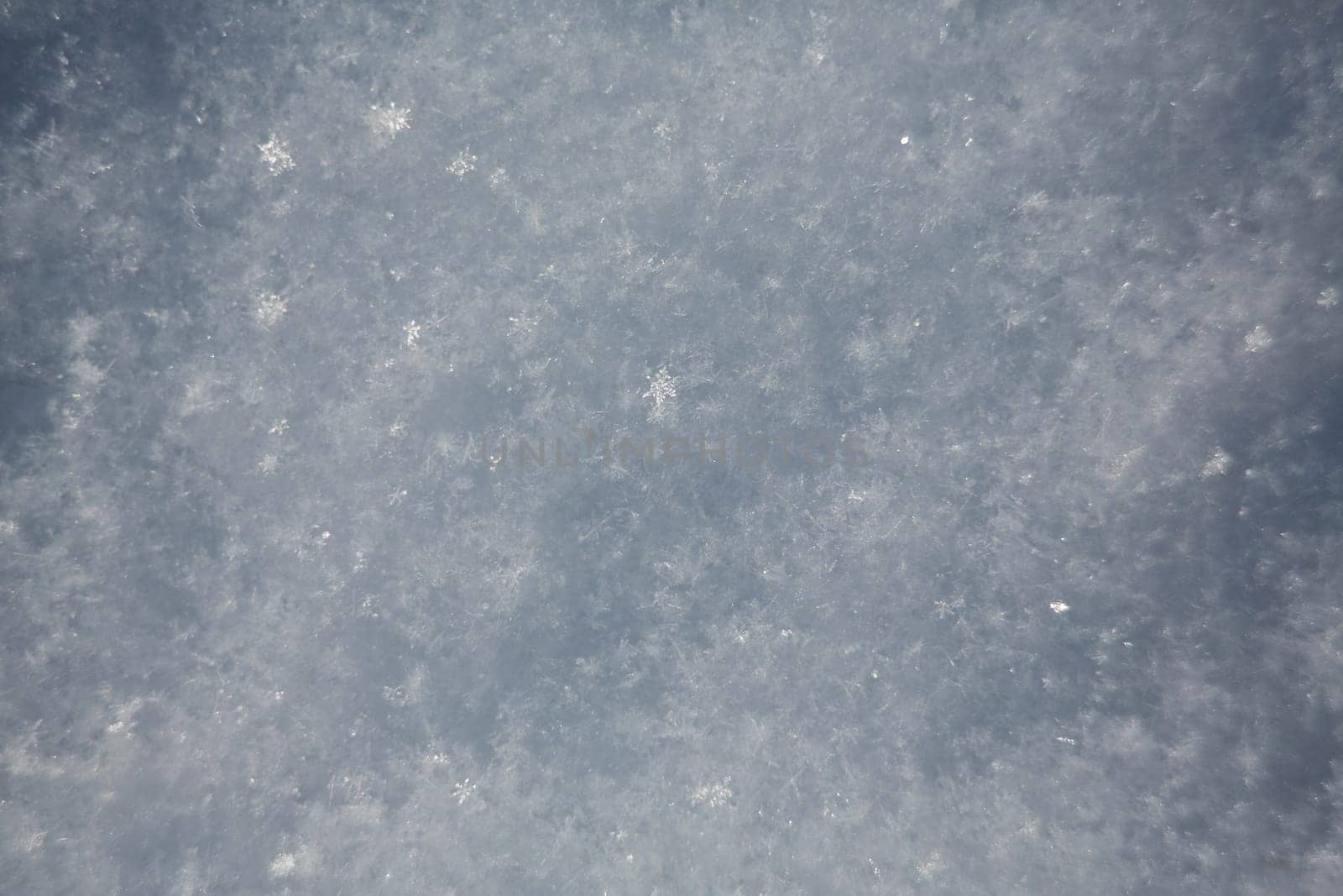 white snowflakes  background, rough pattern of snow texture