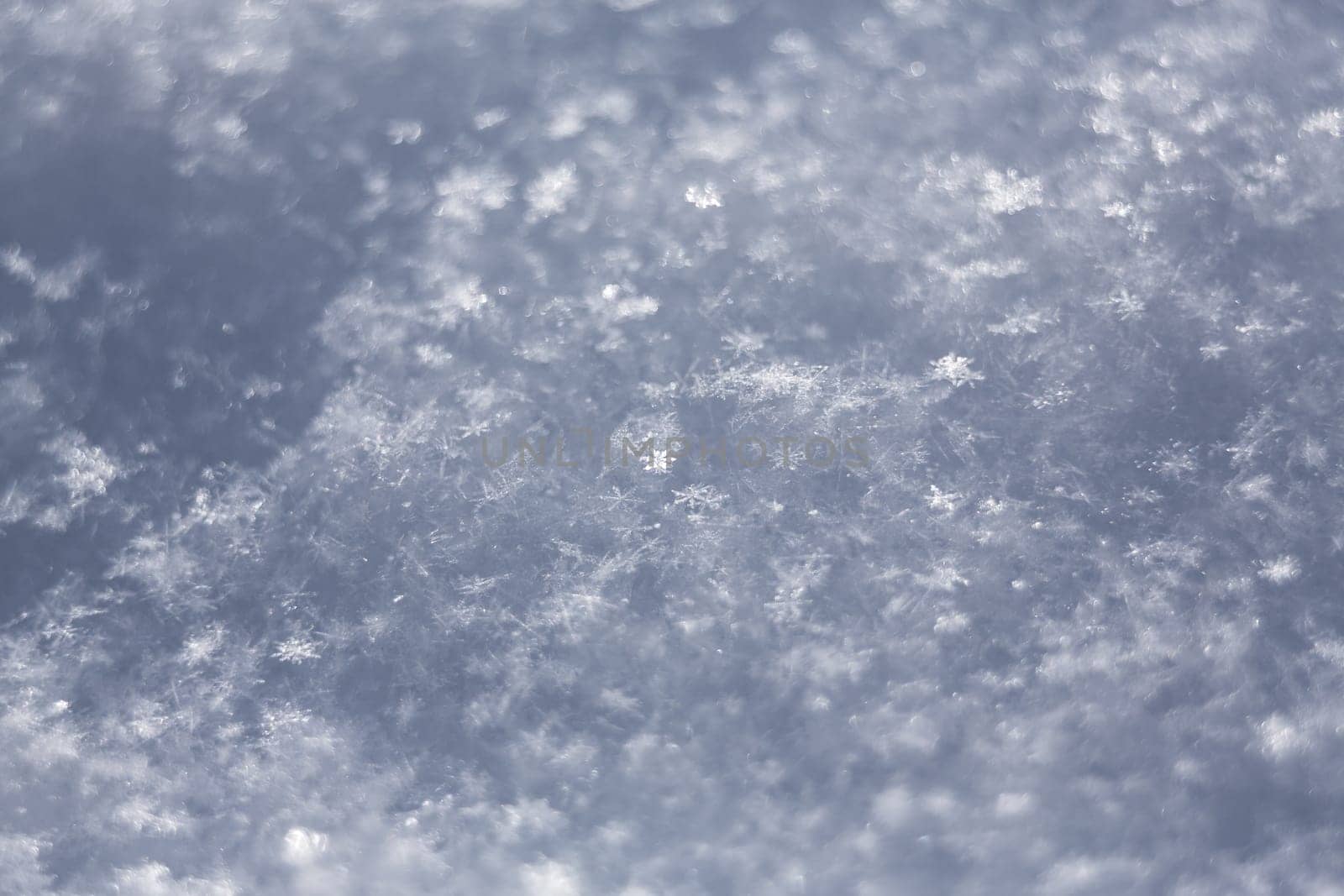 white snowflakes  background, rough pattern of snow texture