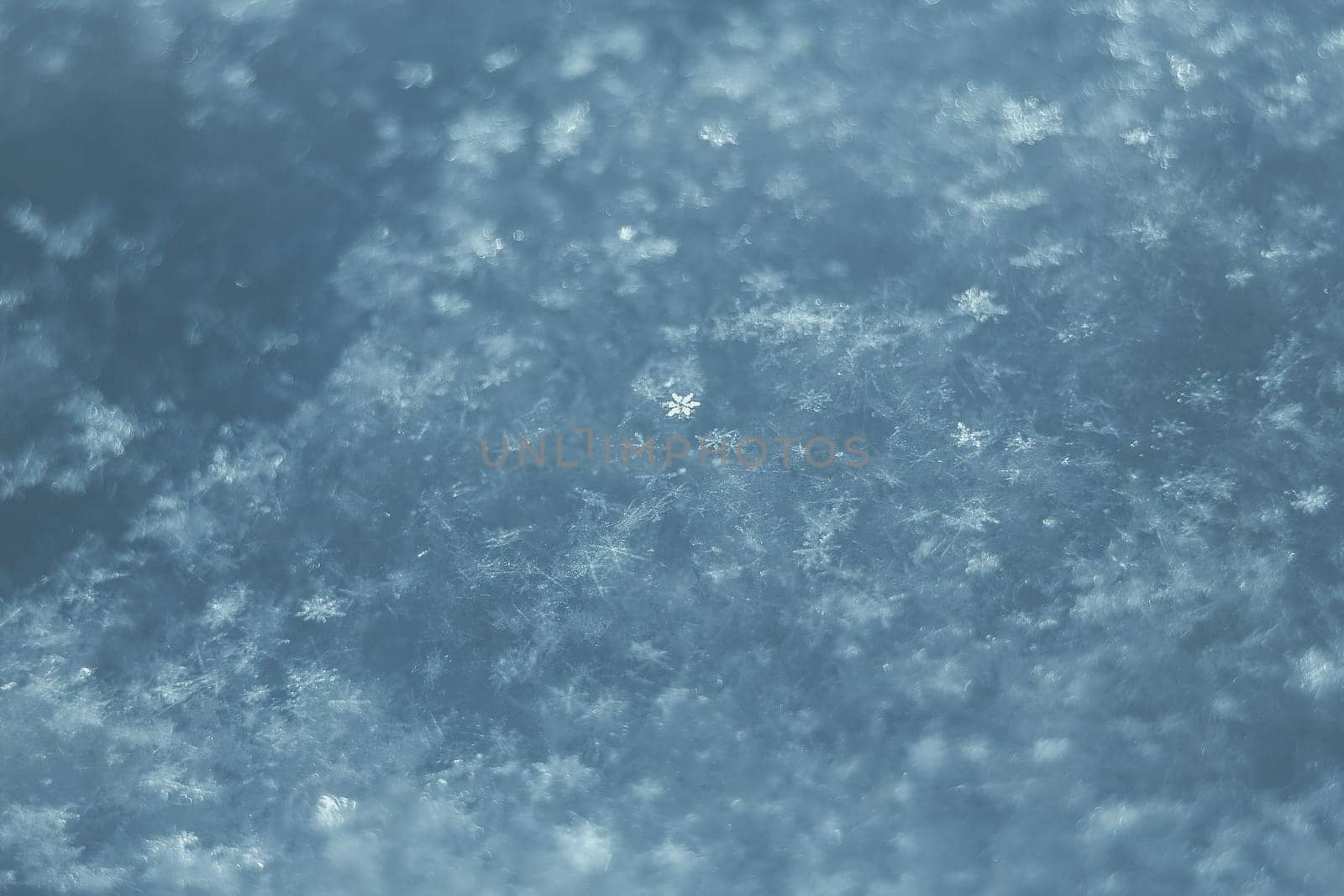 Macro photo of bright snow background