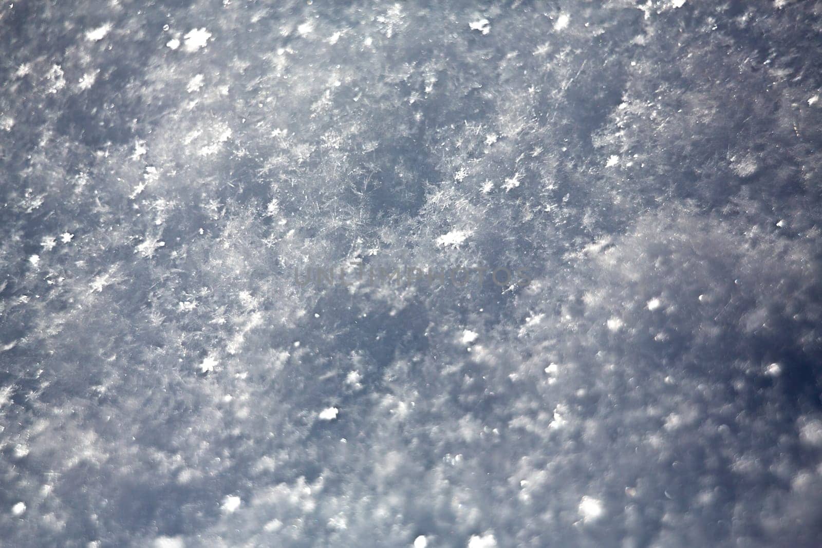 white snowflakes  background, rough pattern of snow texture