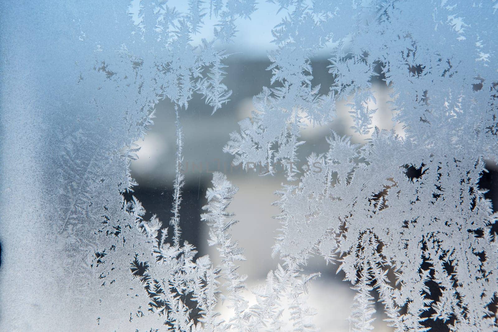 ice patterns on winter glass