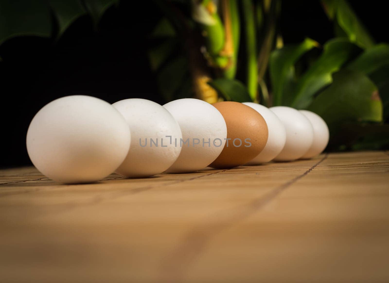 Brown and white eggs with reflection on wood background
