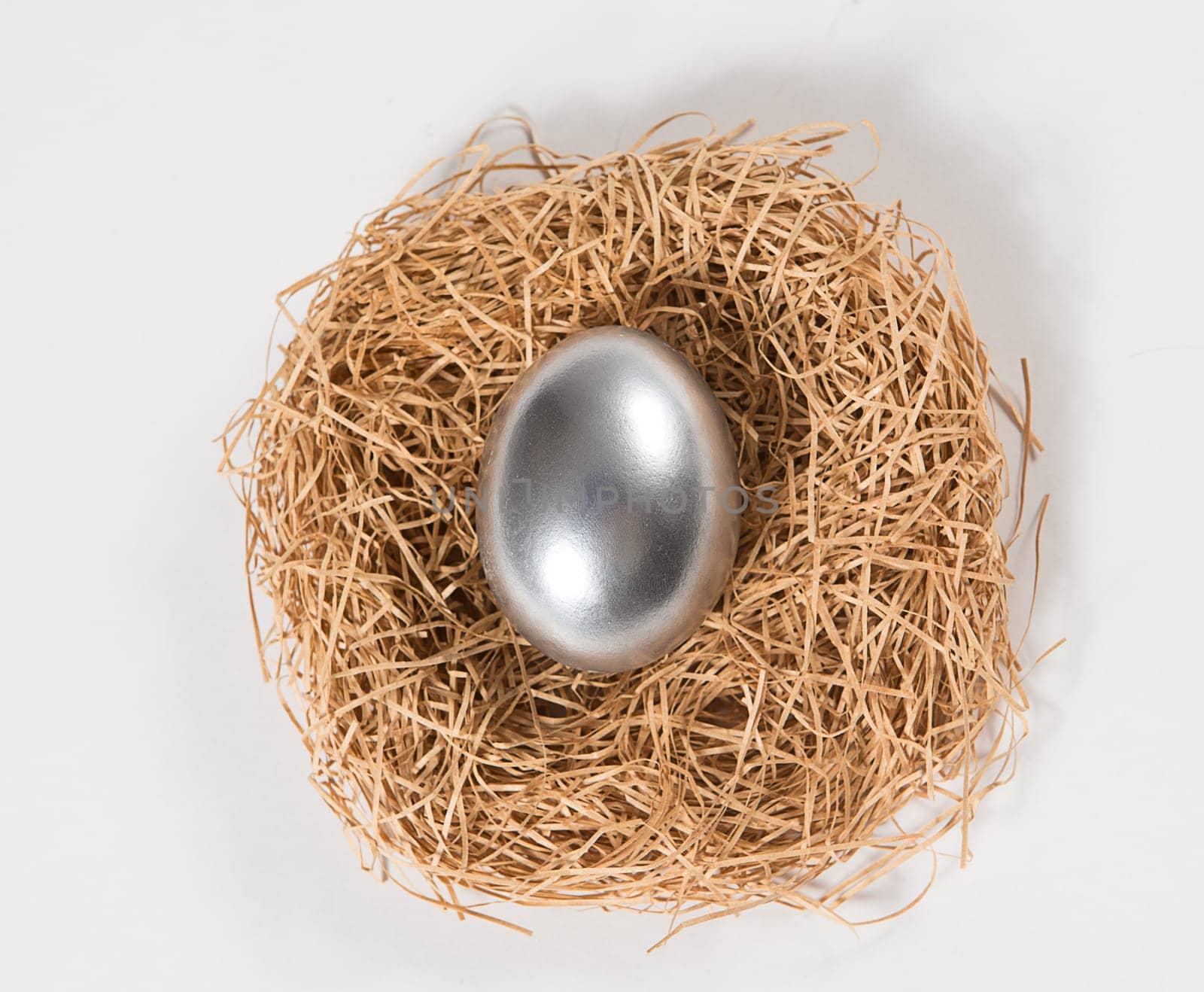 One silver egg in a nest.