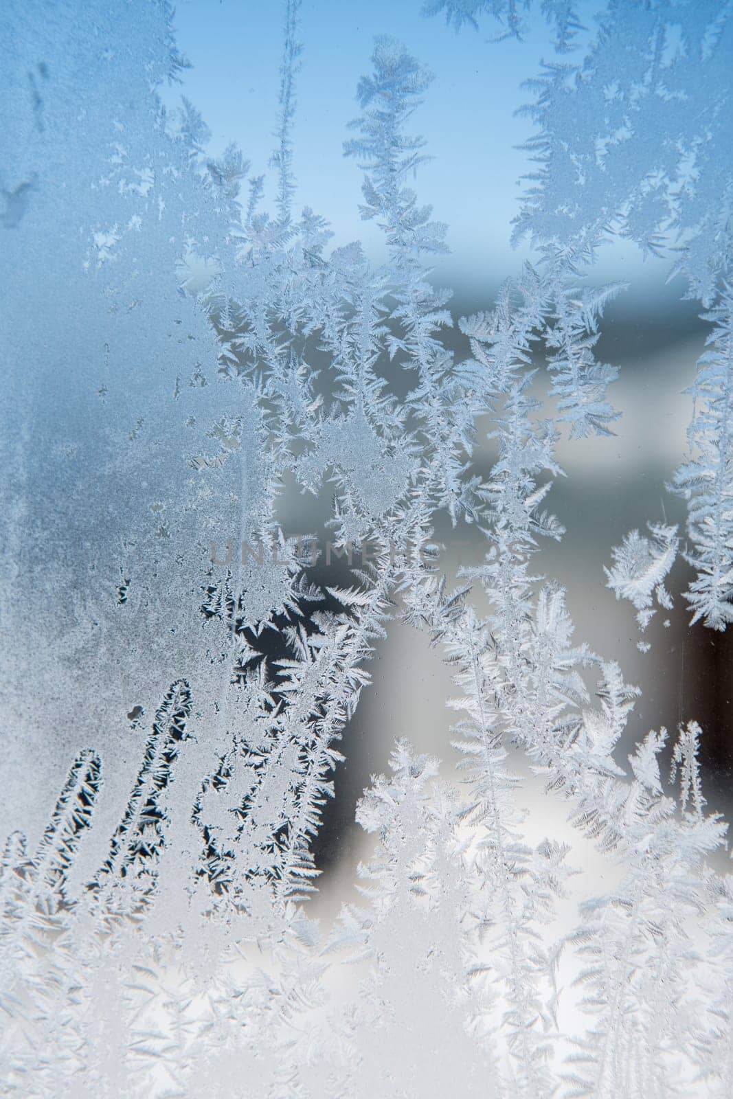 ice patterns on winter glass