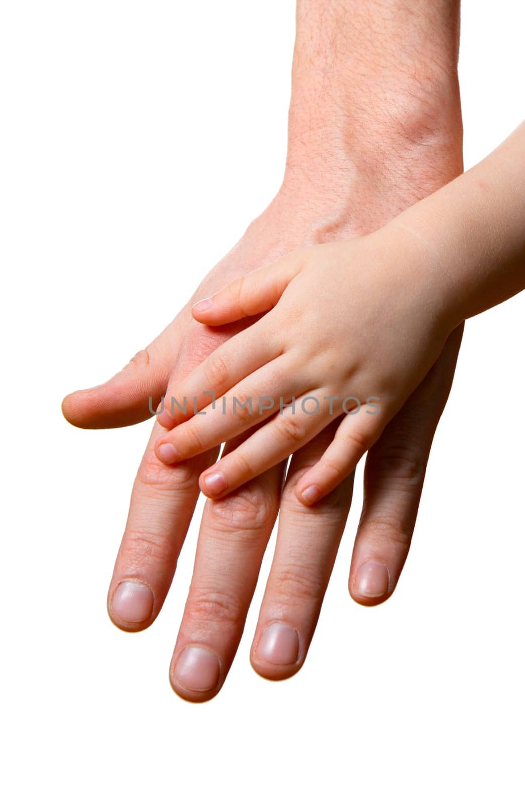 children and man hands isolated on white