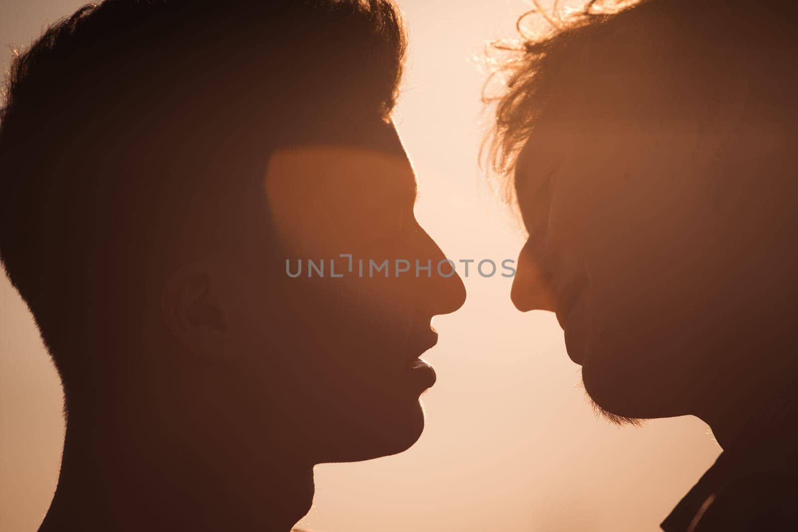 Silhouette of two men about to kiss