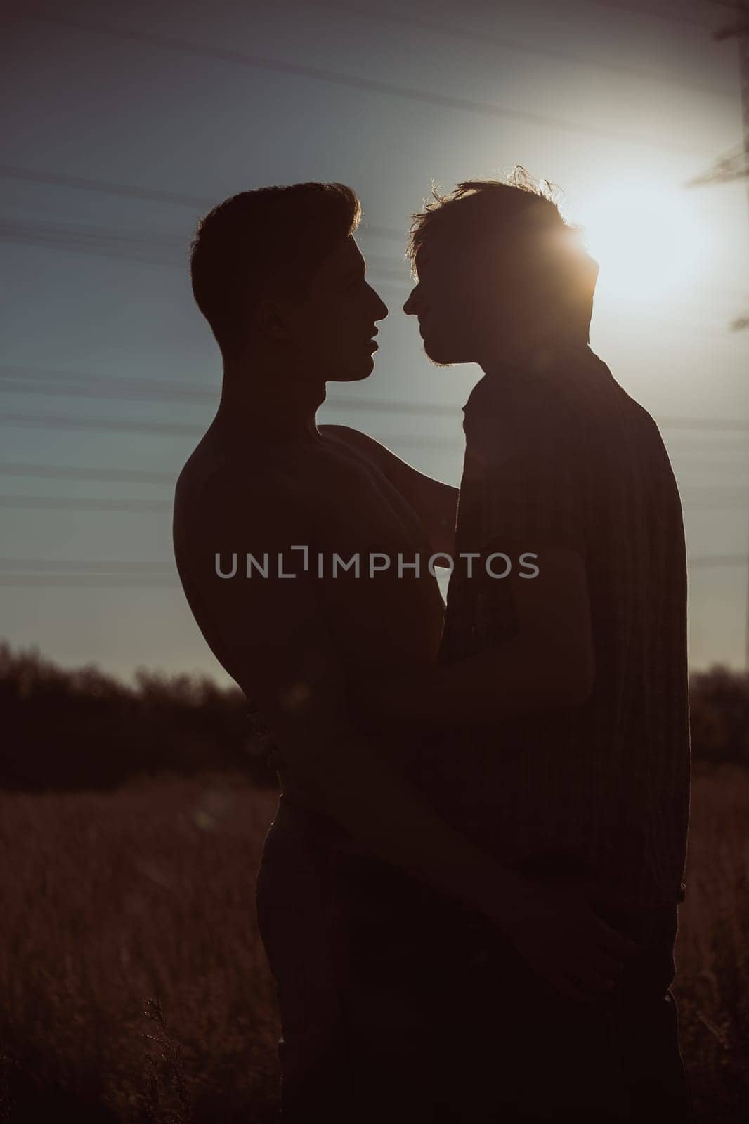 Silhouette of two men about to kiss