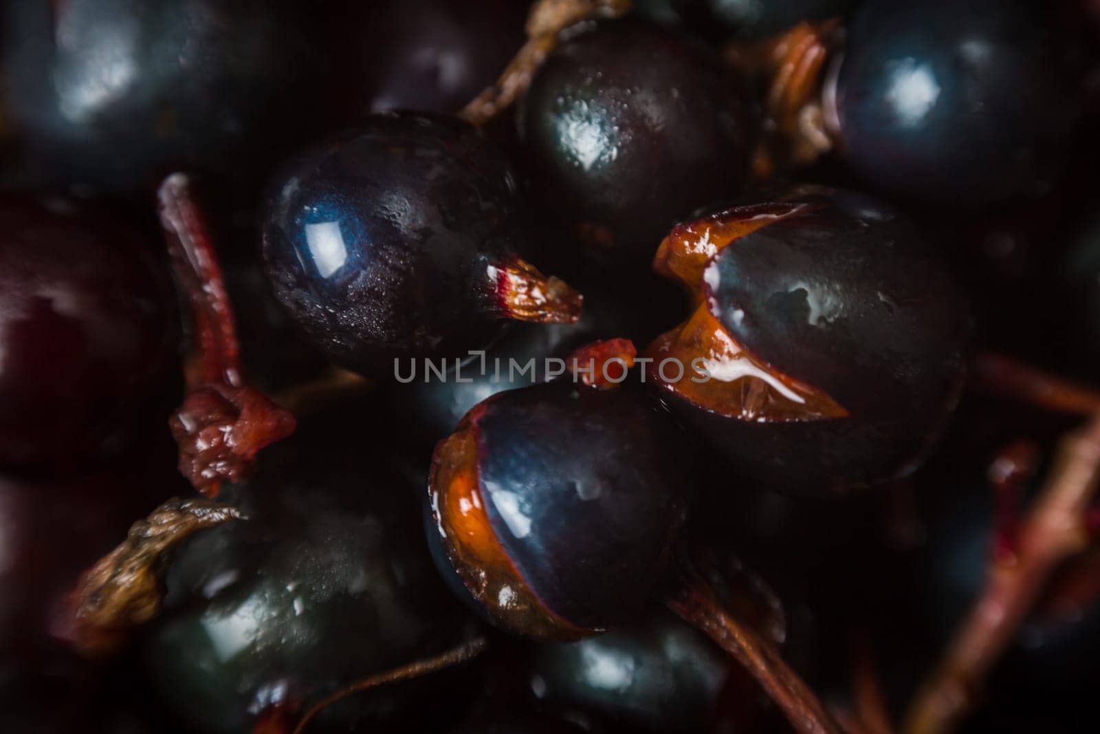 blackcurrant background