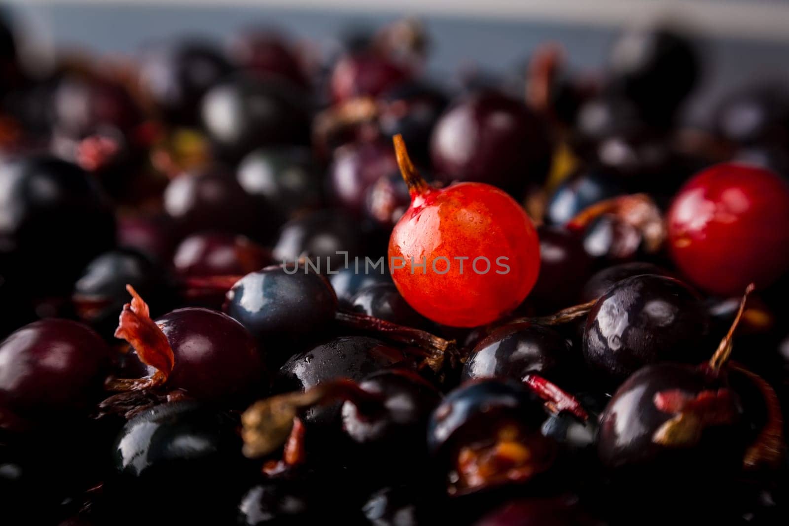 blackcurrant background