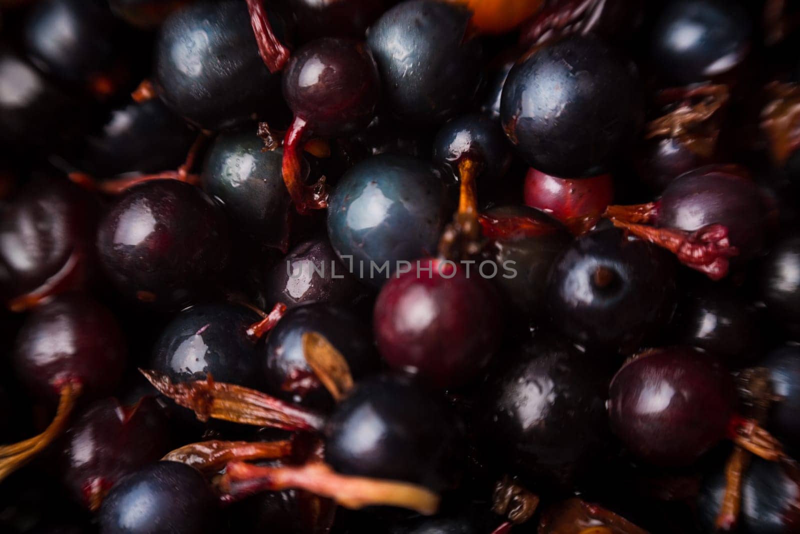 blackcurrant background
