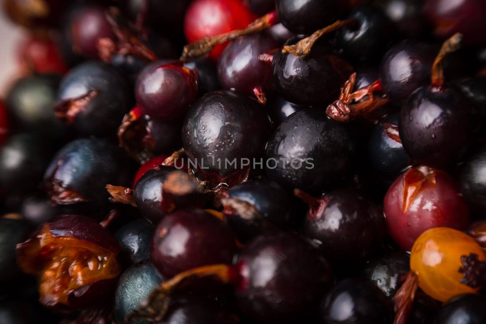 blackcurrant background