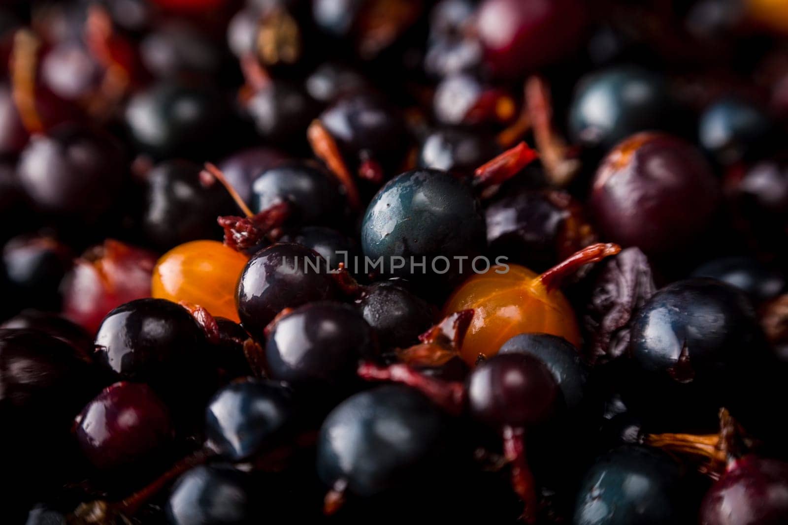 blackcurrant background