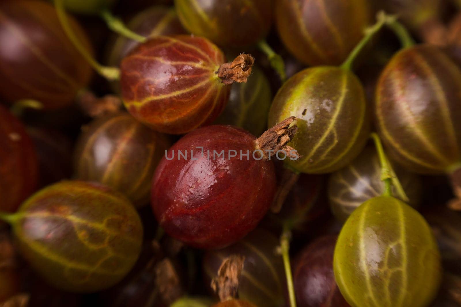Gooseberries background