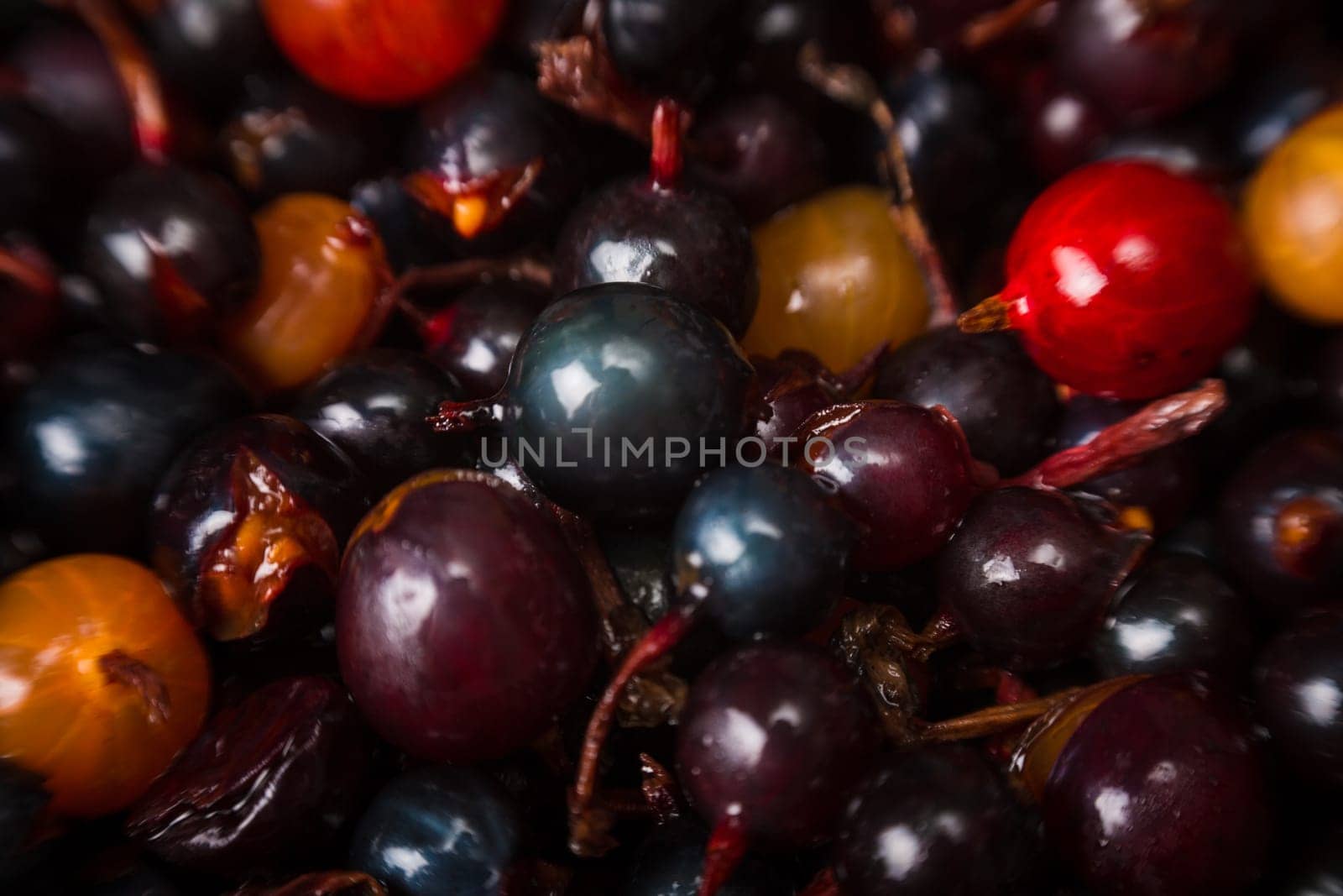 blackcurrant background