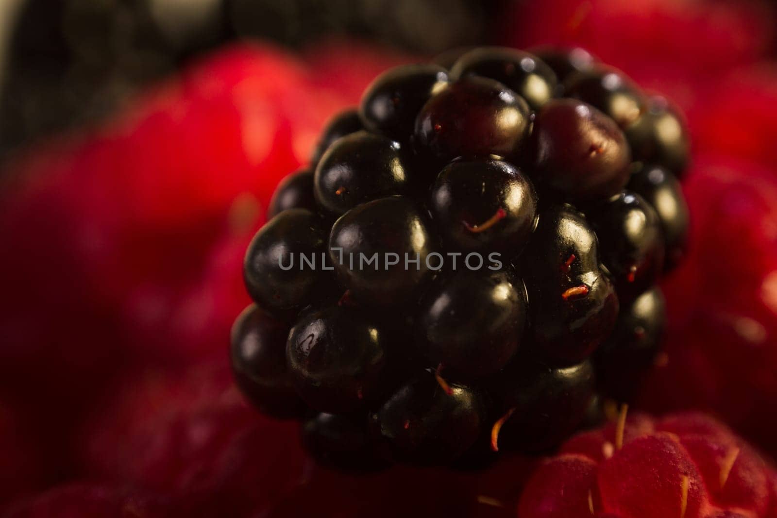 Raspberry on blackberries, macro