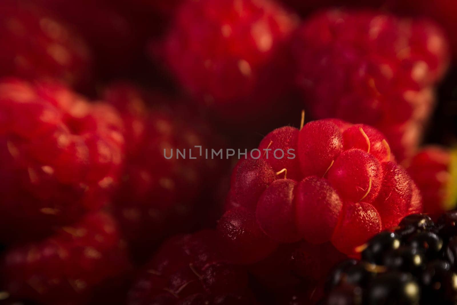 Raspberry on blackberries, macro