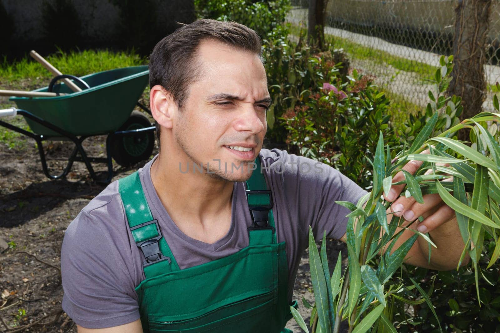 male gardener looking at plants