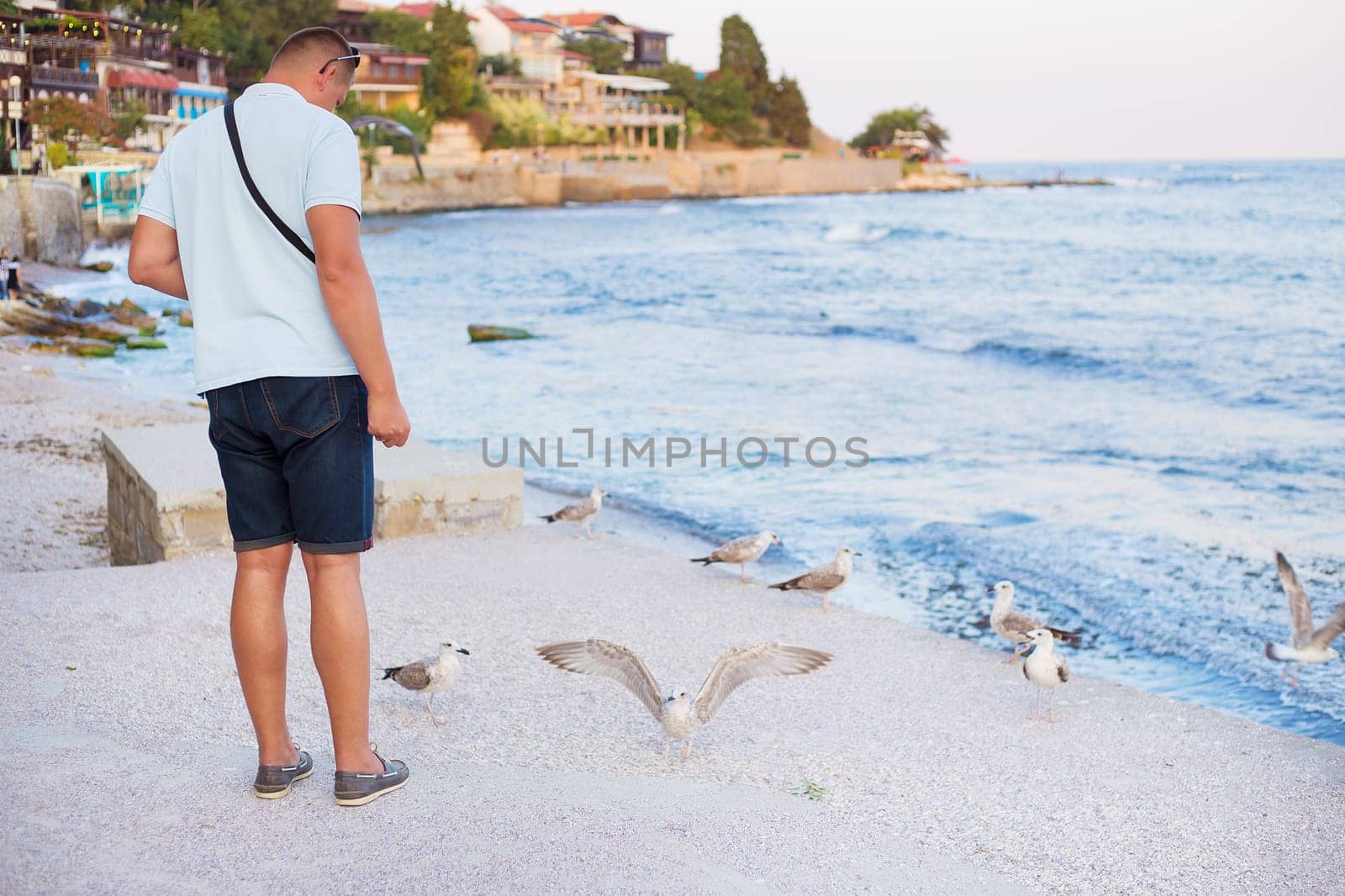 A young guy is feeding a flock of seagulls. Sun, summer, sea.