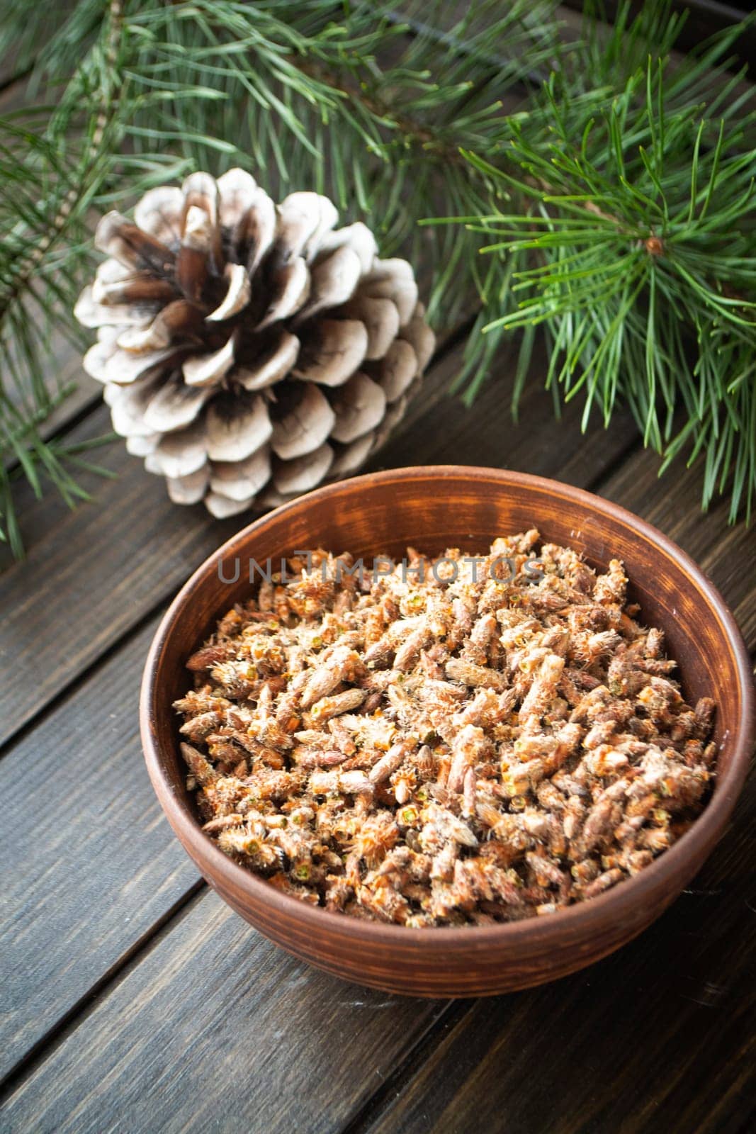 Healing decoction from pine kidneys. Dried pine buds. Medicinal tincture for colds. Dark background. Vertical image