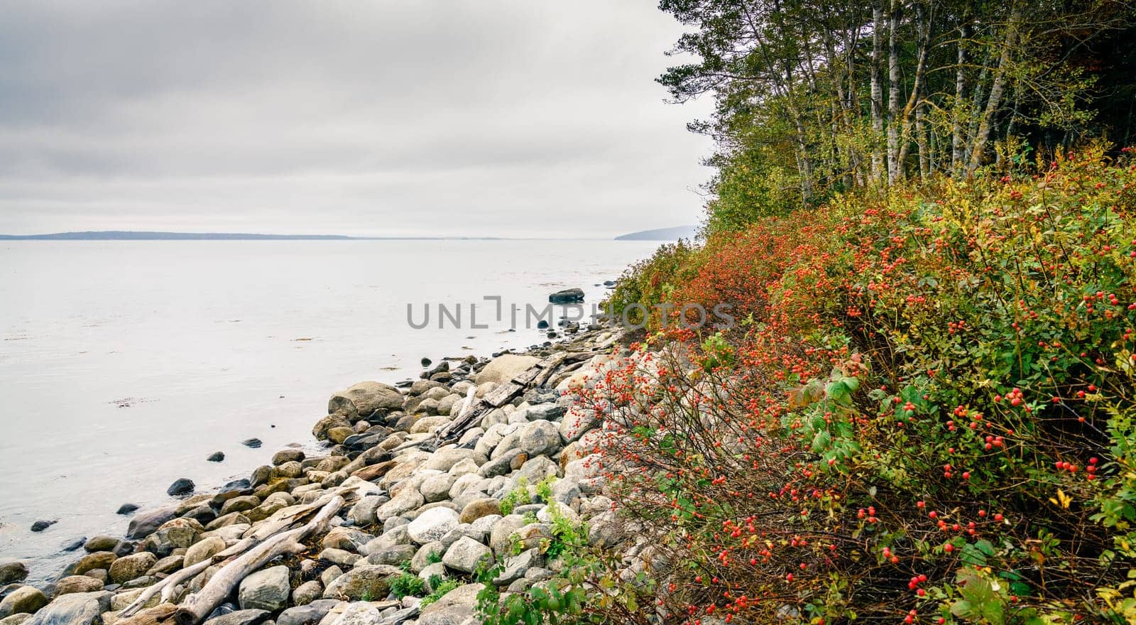 Coastline of Maine, New England at Moose Point State Park in fall