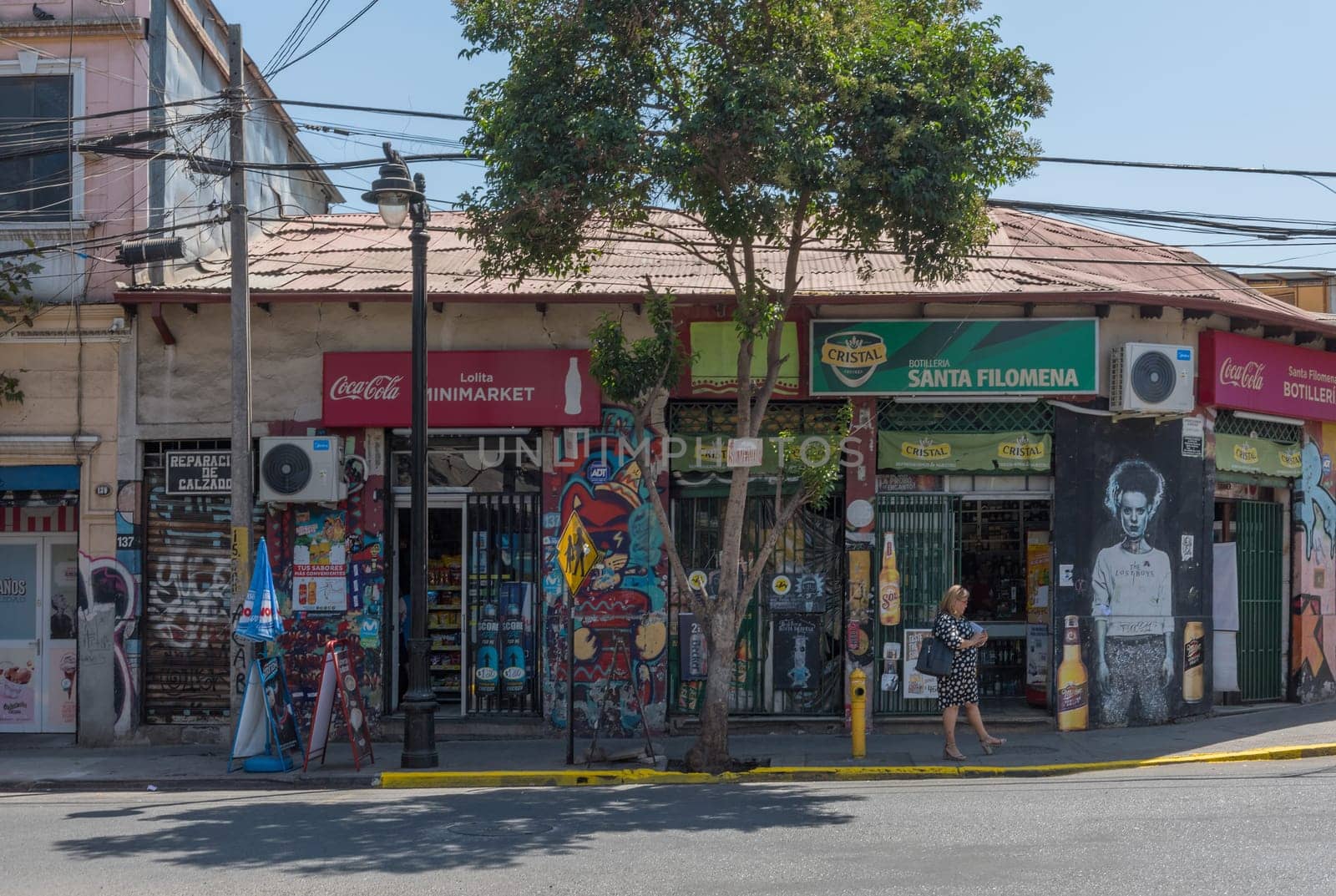 colorful houses in the Bellavista district, Santiago, Chile