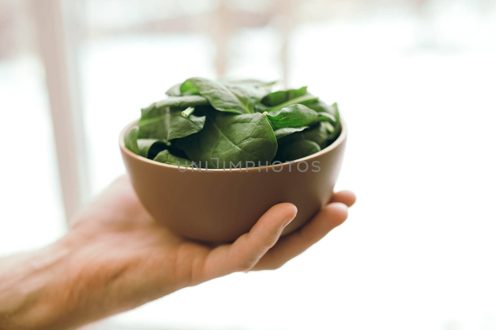Hand holding bowl with fresh green salad leaves of spinach on blurred background. Healthy vegetarian eating concept. Green leaves of spinach. Gifts of nature. Blessed harvest. High quality photo