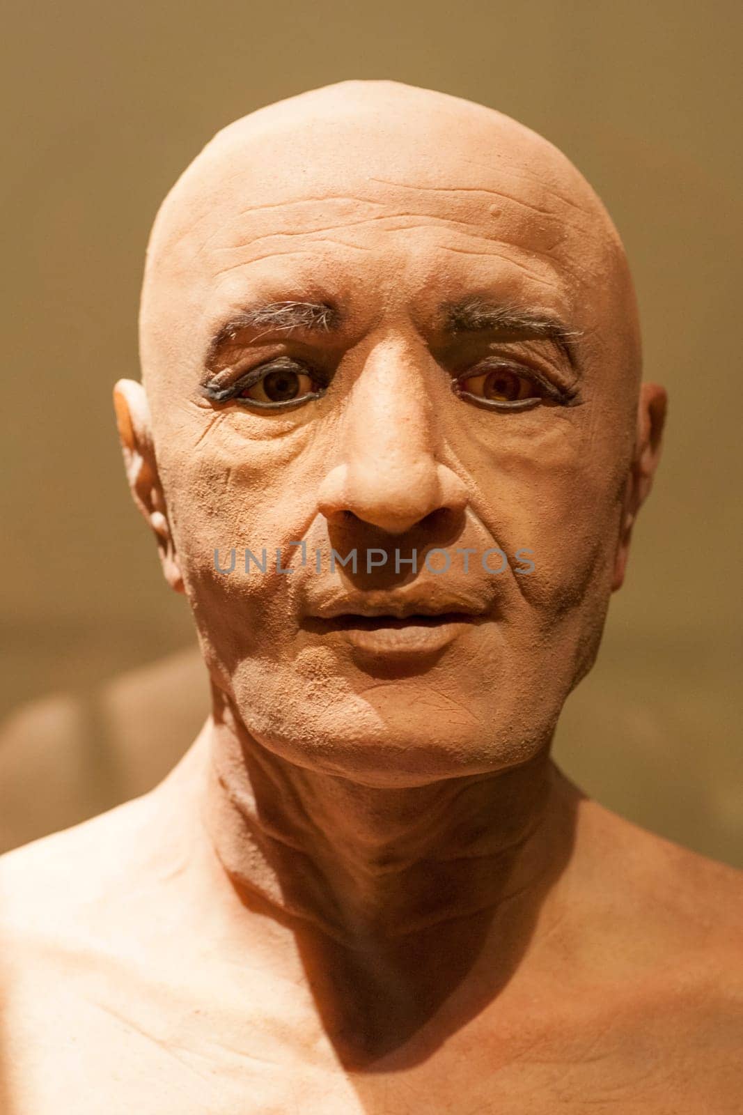 Madrid, Spain - March 6th 2021: Facial reconstruction of the Nespamedu mummy. Platinum silicone. Author Juan Villa Herrero, 2016