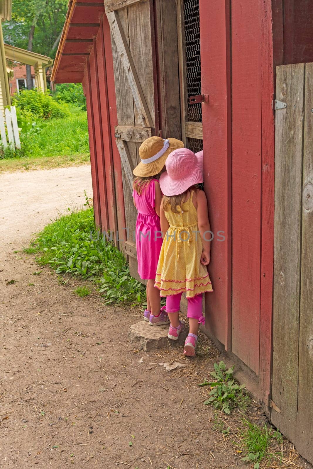Twin Sisters Looking to See What is in the Barn at Spring Valley Nature Center in Schaumburg, Illinois