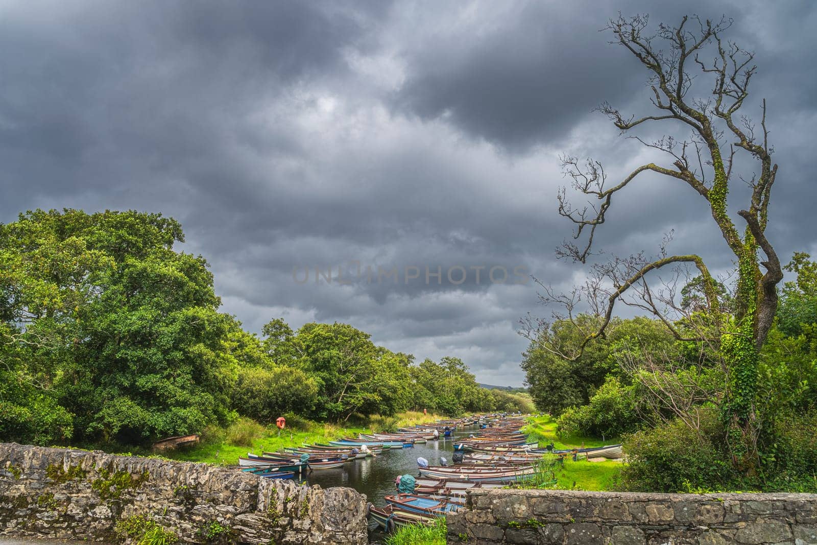 Stone bridge, large dead tree and wooden paddle boats moored in row on river with dramatic storm sky and clouds, Ring of Kerry, Killarney, Ireland