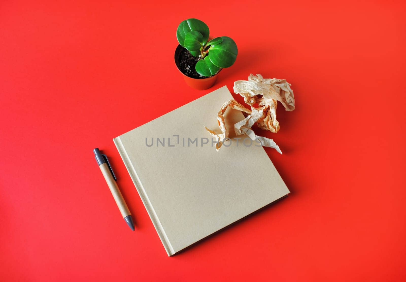 Blank kraft square book, plant, crumpled paper and pen on red paper background. Template for branding design.