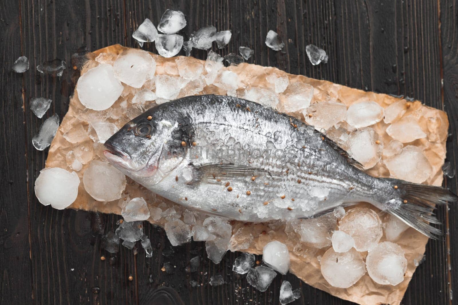 Raw dorada fish or gilt-head bream on ice with lemon slices and rosemary over black wooden background, flat lay, top view.