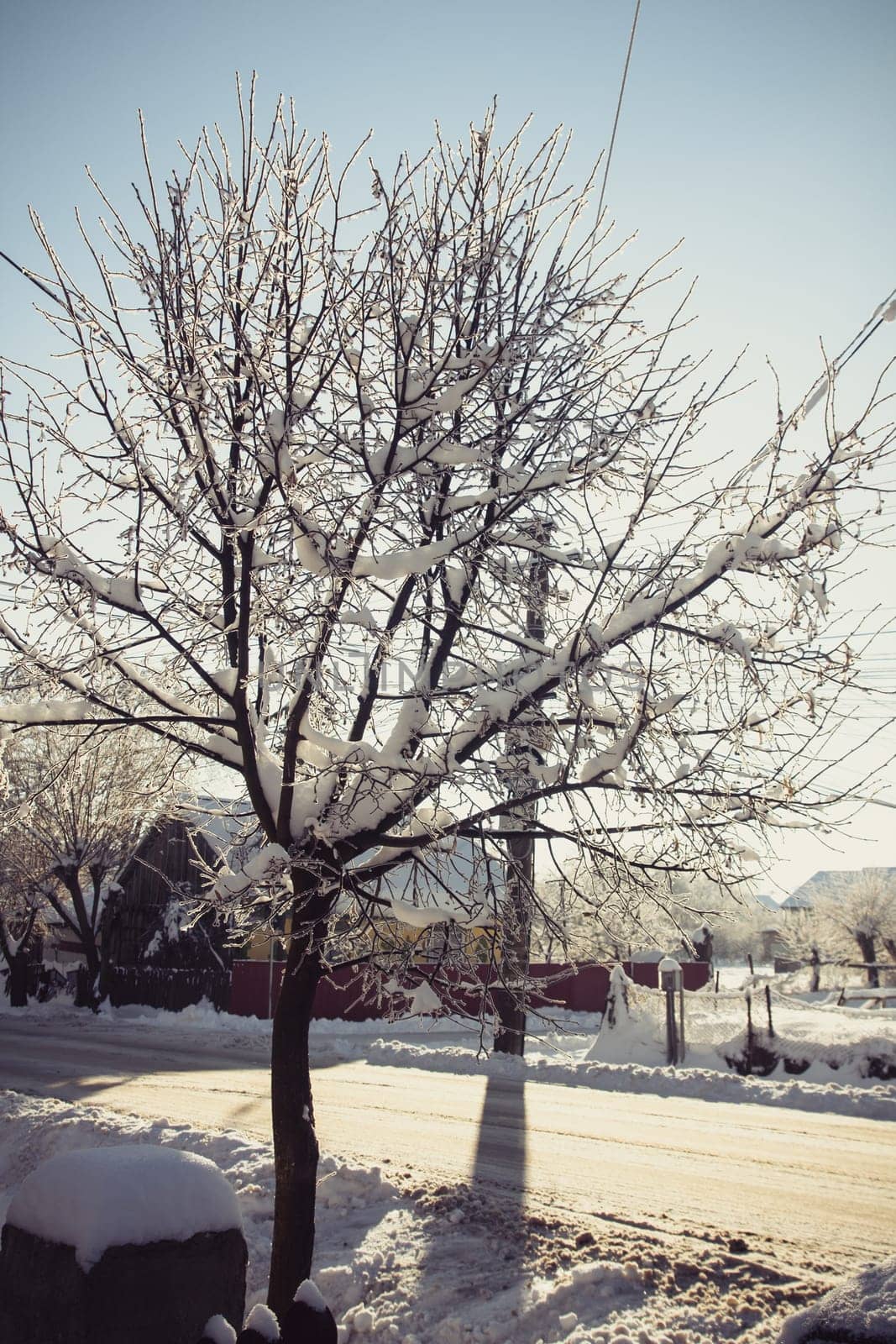 Small streets and trees in town covered in snow