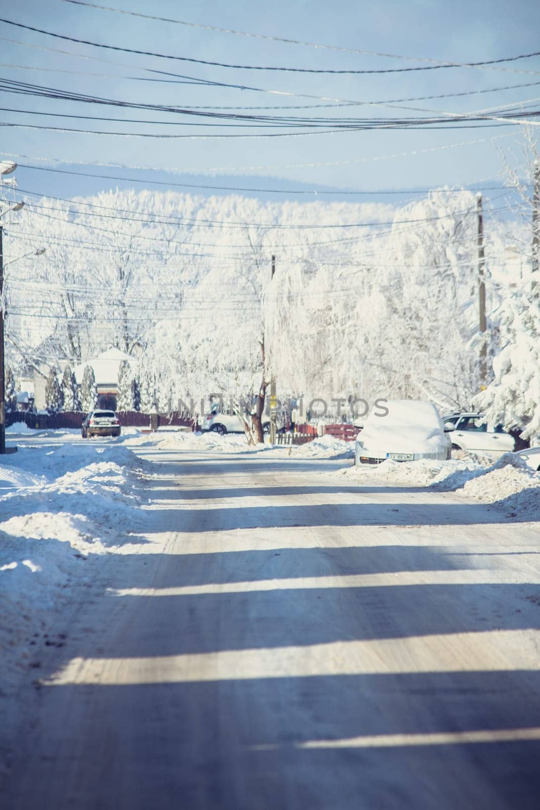 Small streets and trees in town covered in snow