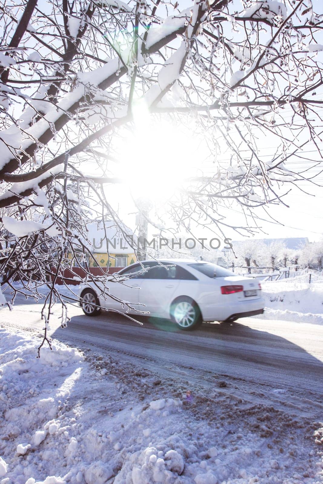 Small streets and trees in town covered in snow