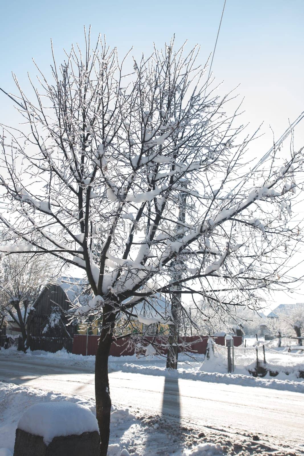 Small streets and trees in town covered in snow