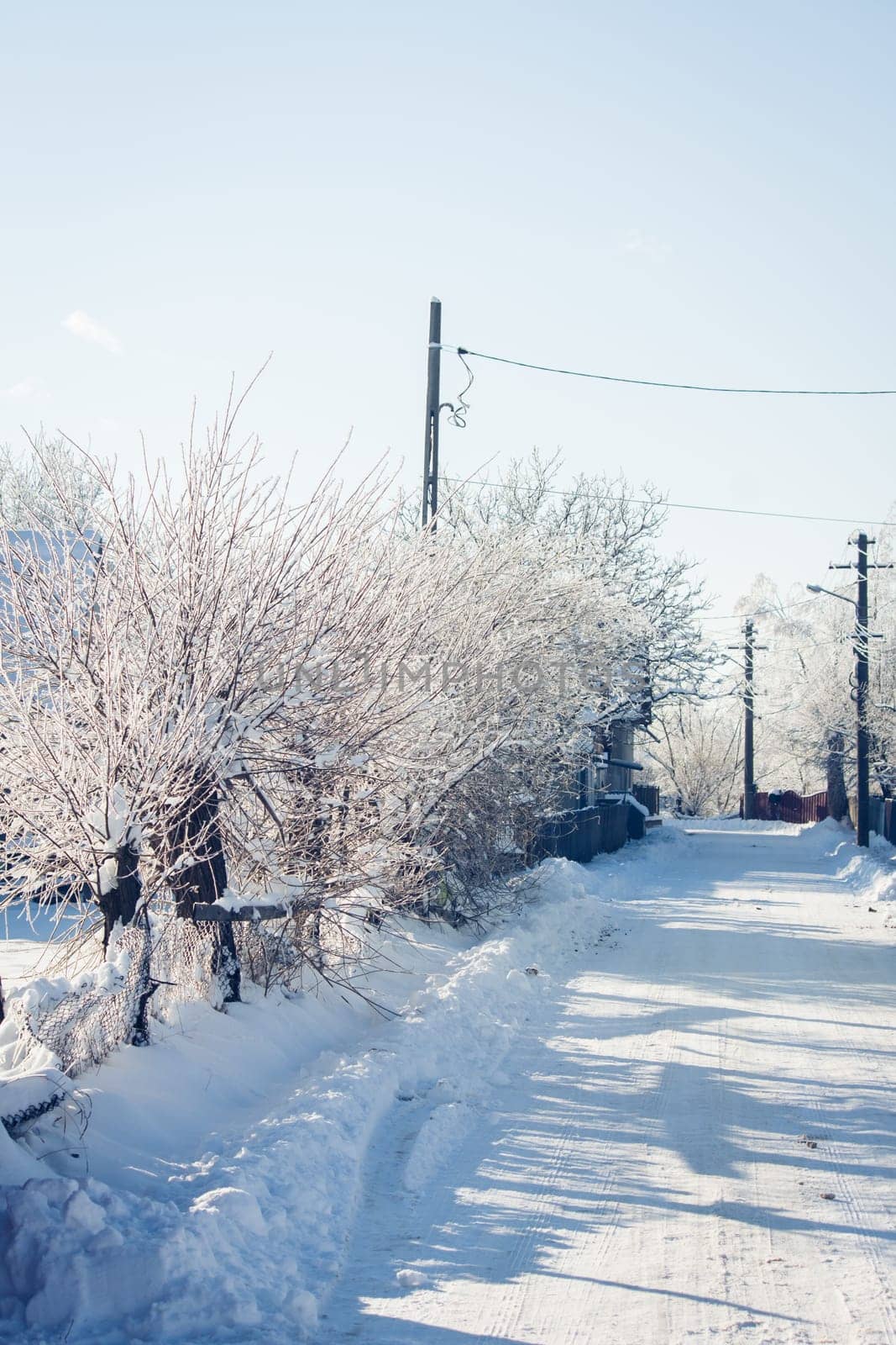 Small streets and trees in town covered in snow