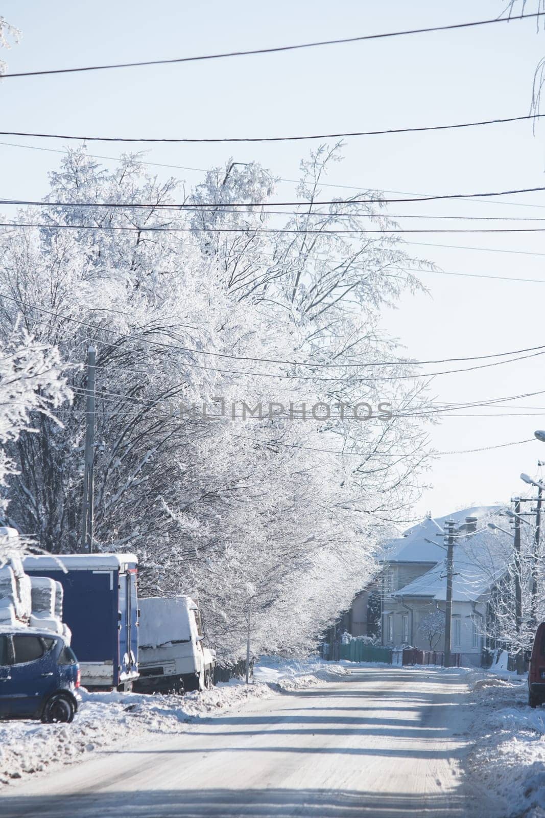 Small streets and trees in town covered in snow