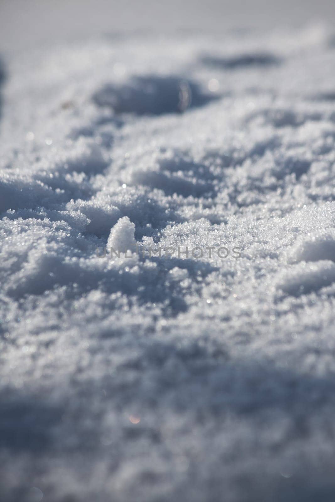 Close up of snow particles and flakes. Winter snow background