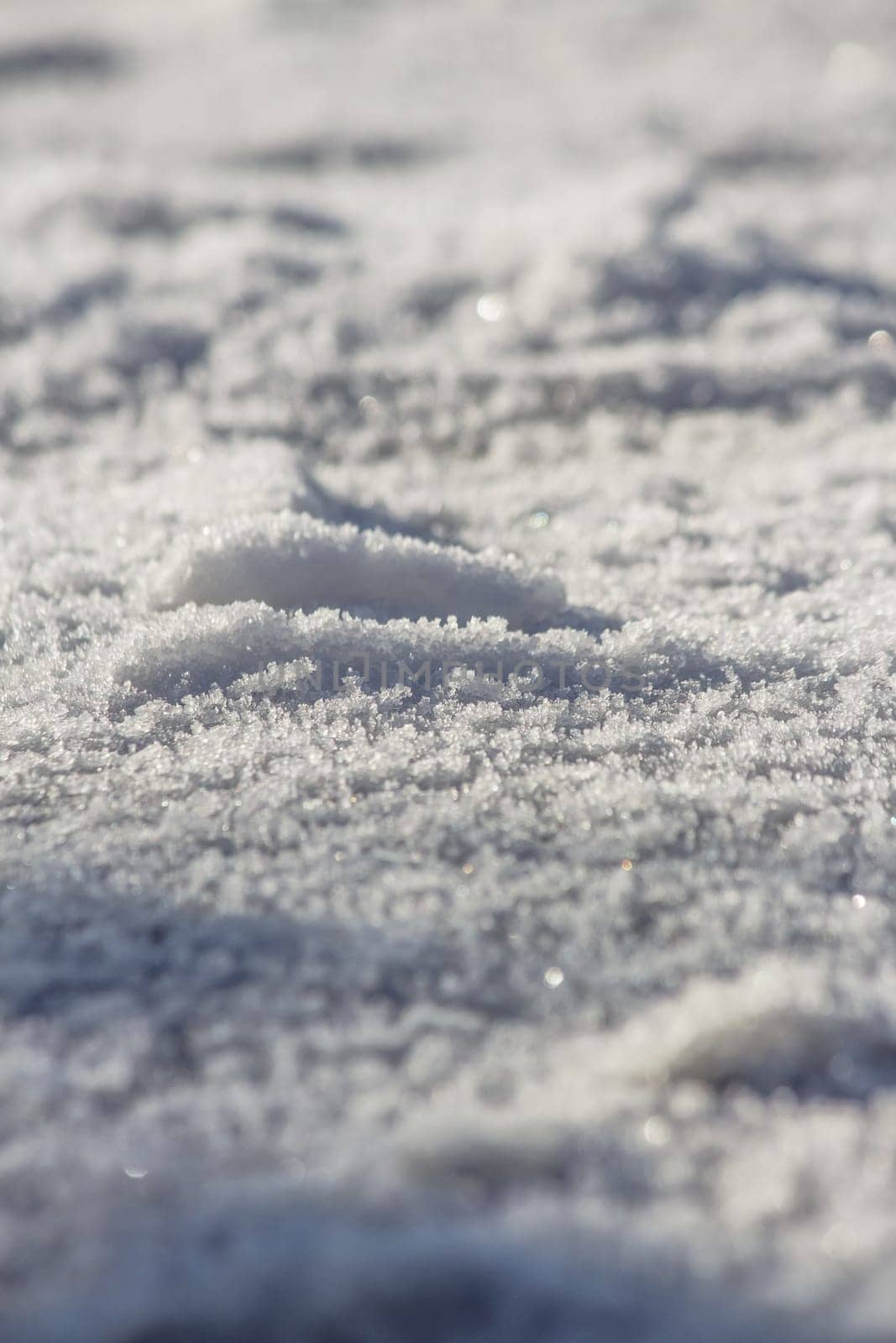 Close up of snow particles and flakes. Winter snow background