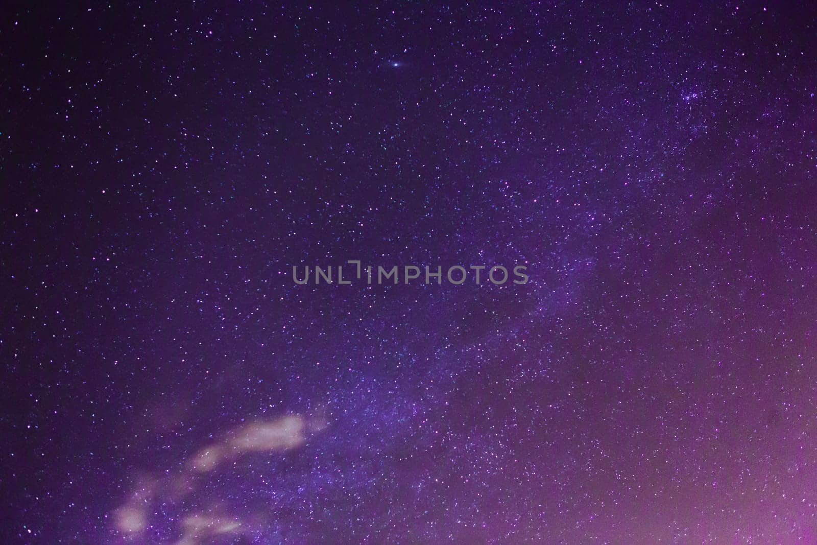 Stars in the night sky