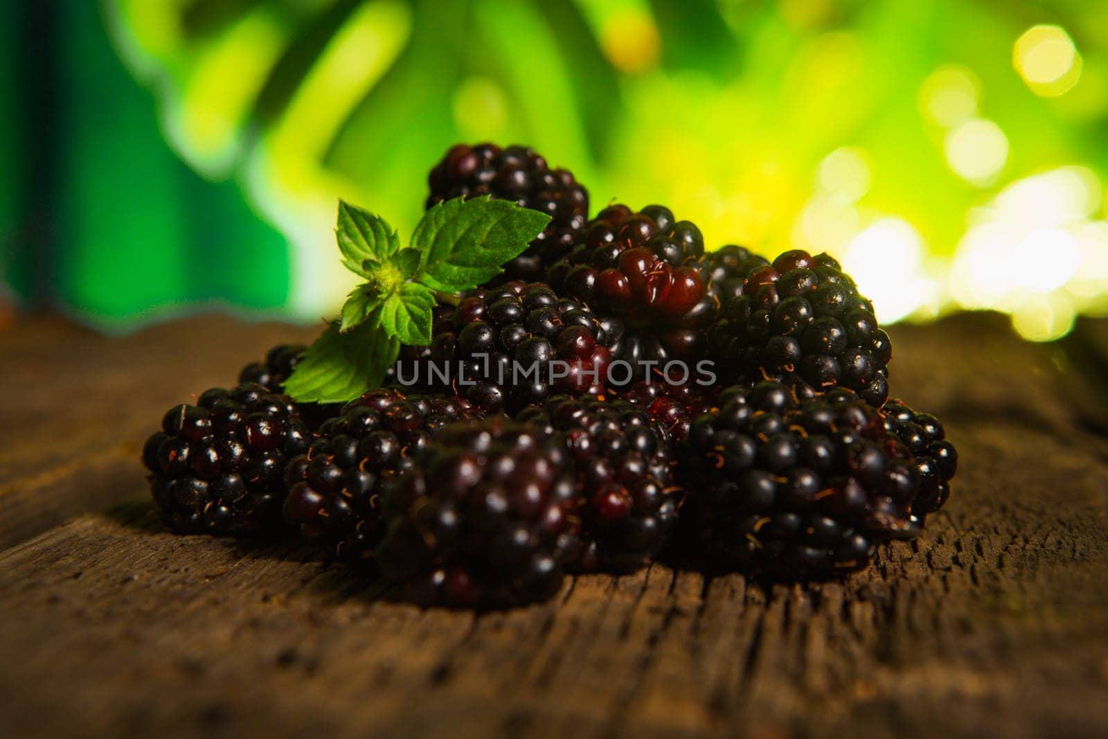 Sweet fresh  blackberry in the wood bawl