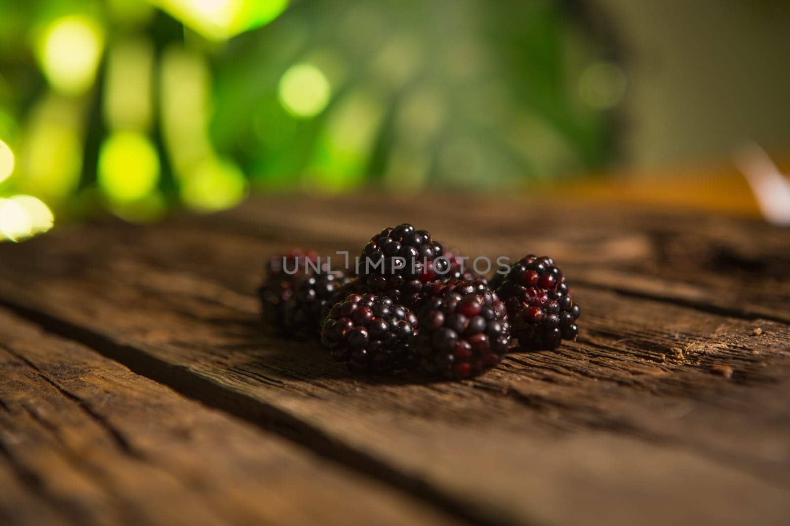 Sweet fresh  blackberry in the wood bawl