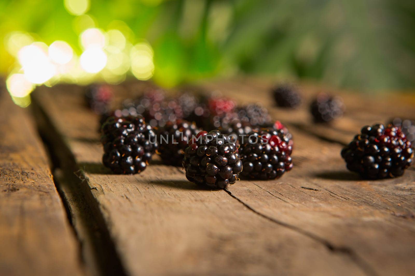 Sweet fresh  blackberry in the wood bawl