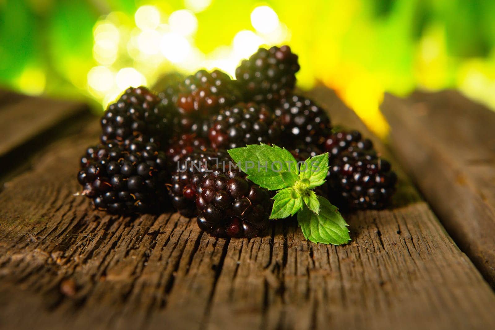 Sweet fresh  blackberry in the wood bawl
