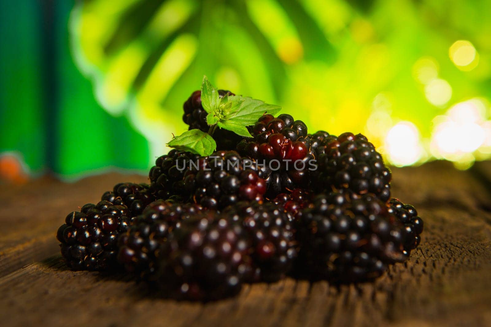 Sweet fresh  blackberry in the wood bawl
