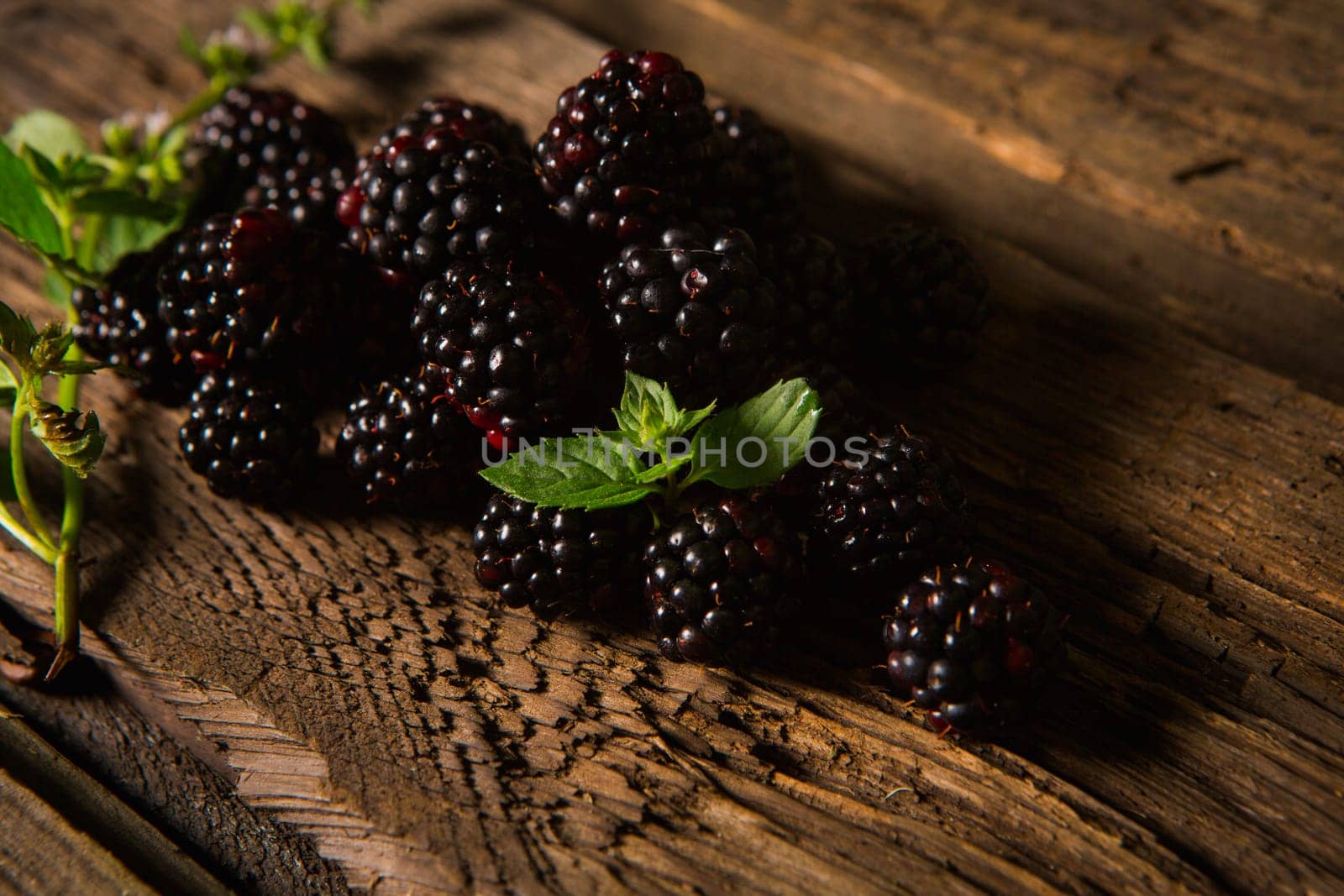 Sweet fresh  blackberry in the wood bawl