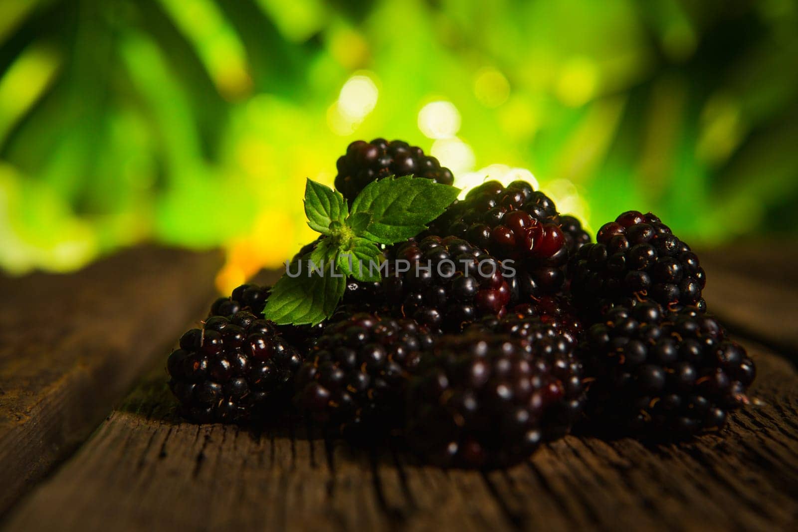 Sweet fresh  blackberry in the wood bawl